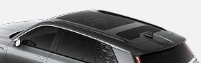 Black Painted Roof