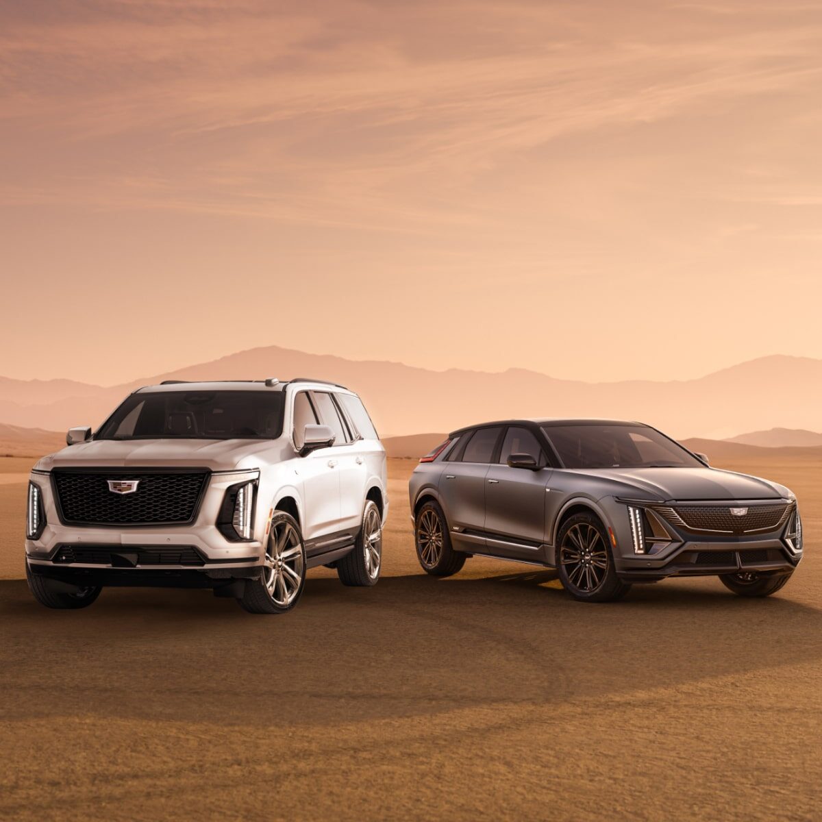 FALL INTO THE CADILLAC