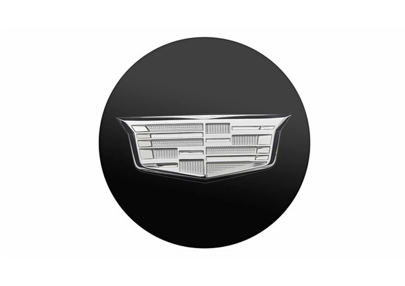 22インチ アルミホイール用センターキャップ